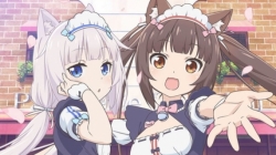 Nekopara (TV)