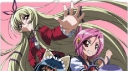 Penguin Musume Heart